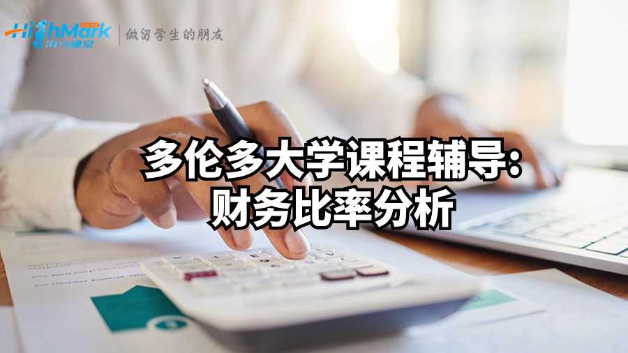 多伦多大学课程辅导;财务比率分析