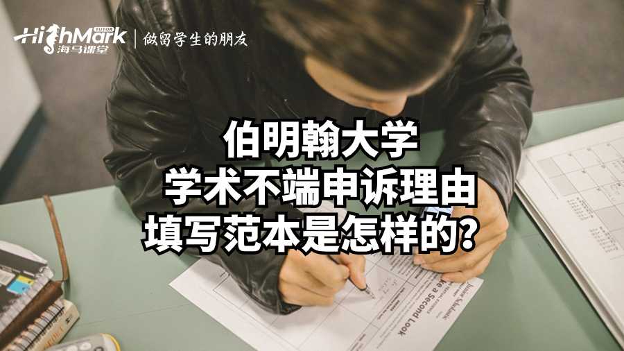 伯明翰大学学术不端申诉理由填写范本