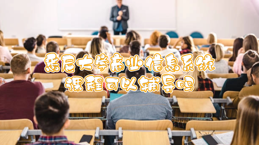 悉尼大学商业信息系统课程可以辅导吗