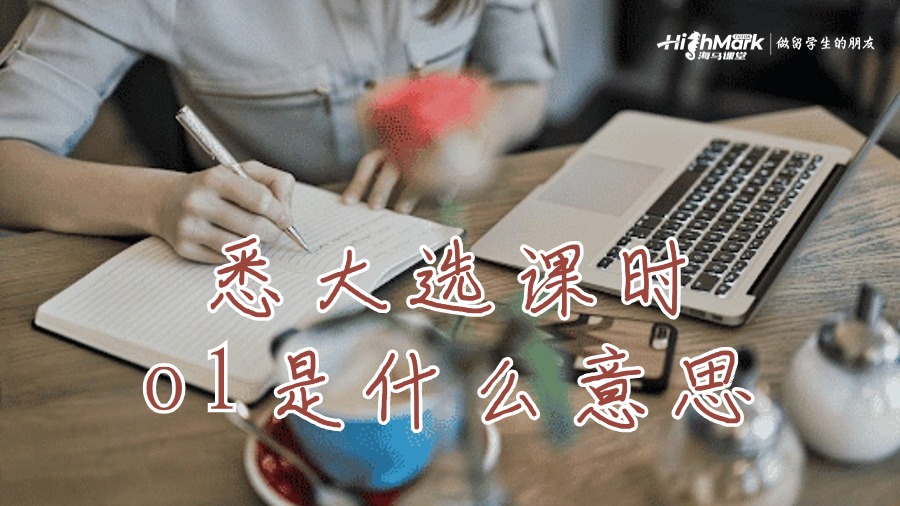 悉大选课时ol是什么意思