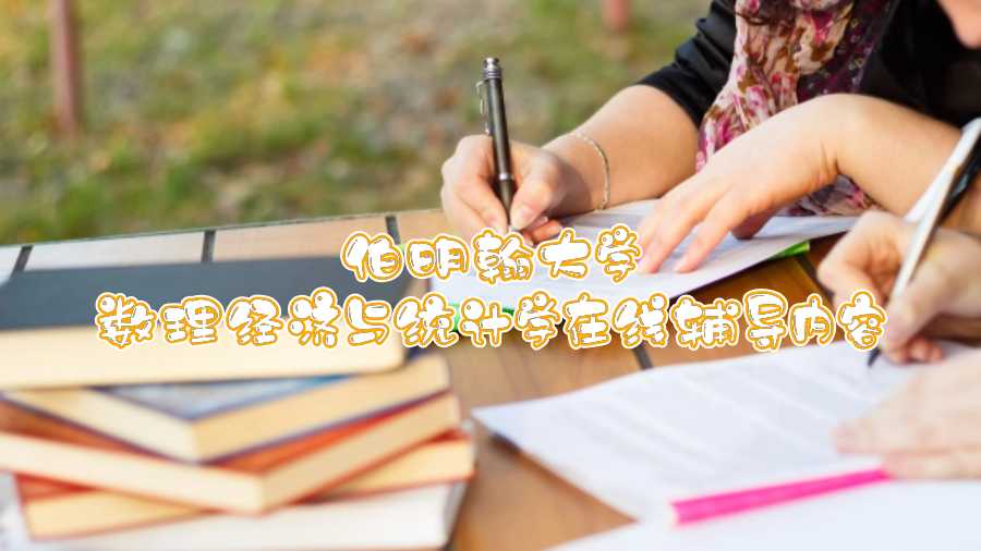 伯明翰大学数理经济与统计学在线辅导内容