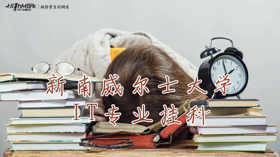 新南威尔士大学IT专业挂科