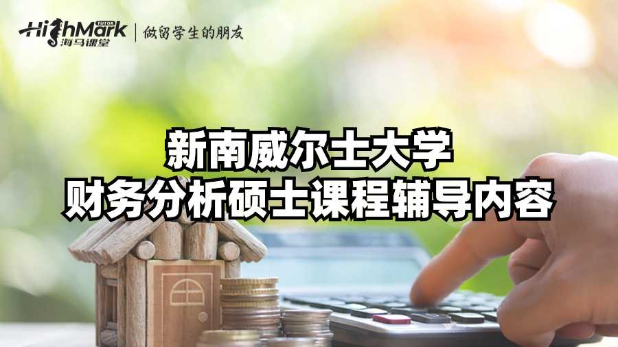 新南威尔士大学财务分析硕士课程辅导内容