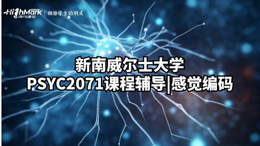 新南威尔士大学PSYC2071课程辅导