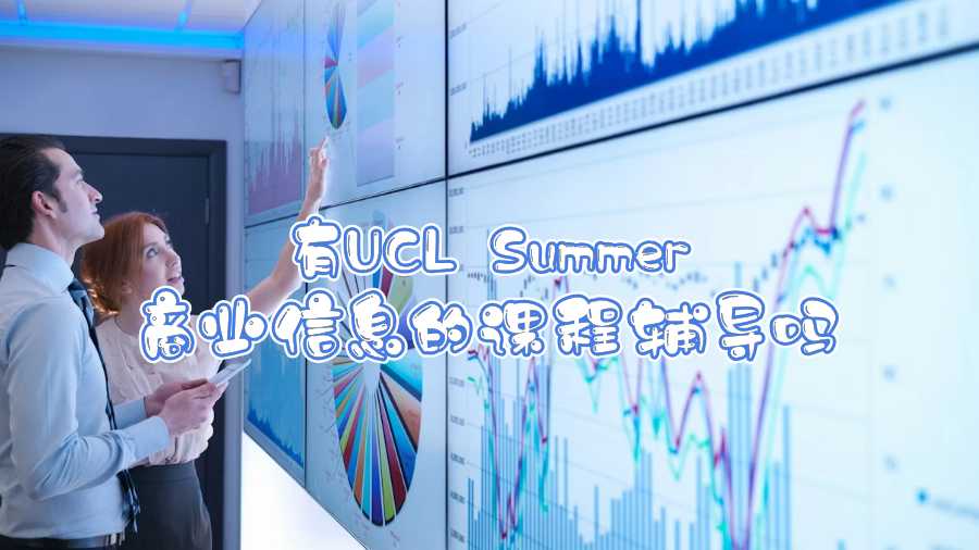 有UCL Summer商业信息的课程辅导吗