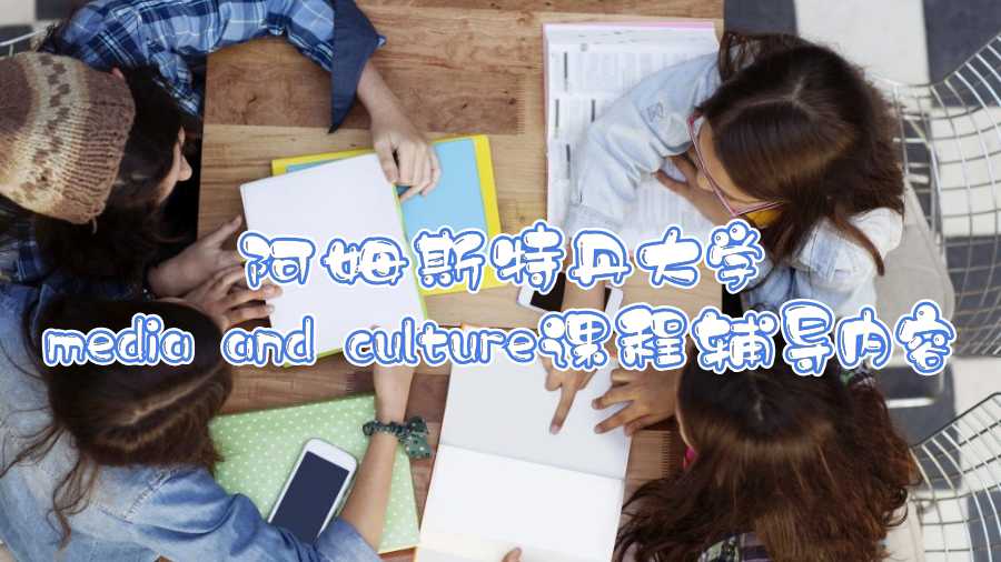 阿姆斯特丹大学media and culture课程辅导内容