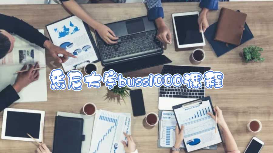 悉尼大学BUSS1000课程辅导