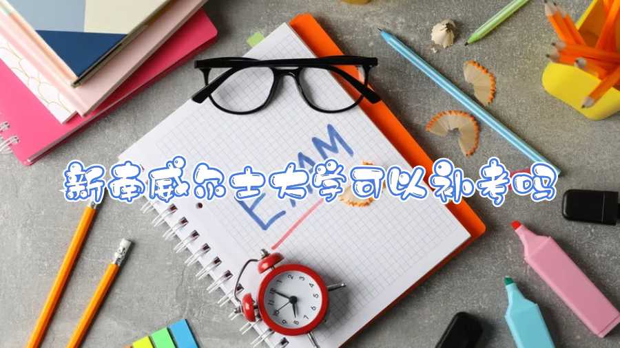 新南威尔士大学可以补考吗