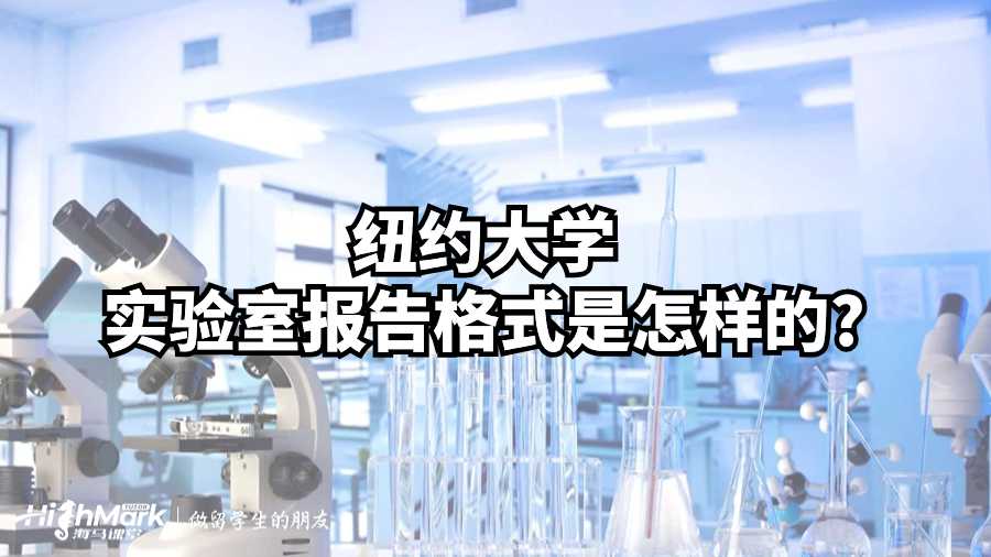 纽约大学实验室报告格式是怎样的?