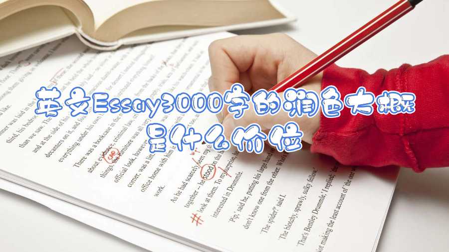 英文Essay3000字的润色大概是什么价位