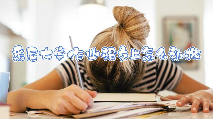 悉尼大学作业没交上怎么补救
