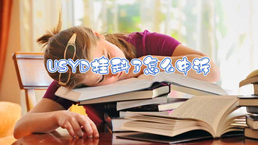 USYD挂科了怎么申诉