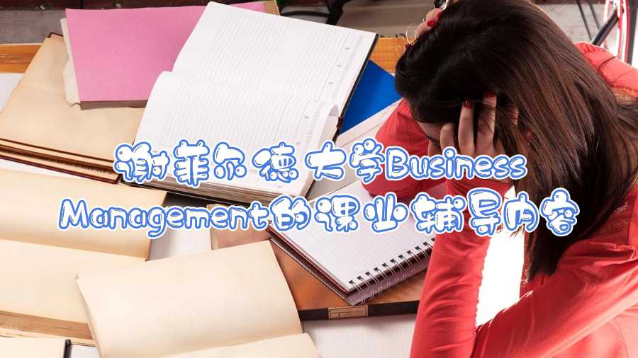 谢菲尔德大学Business Management的课业辅导内容