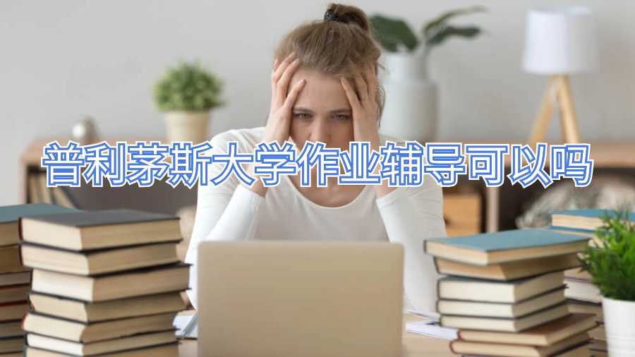 普利茅斯大学作业辅导可以吗