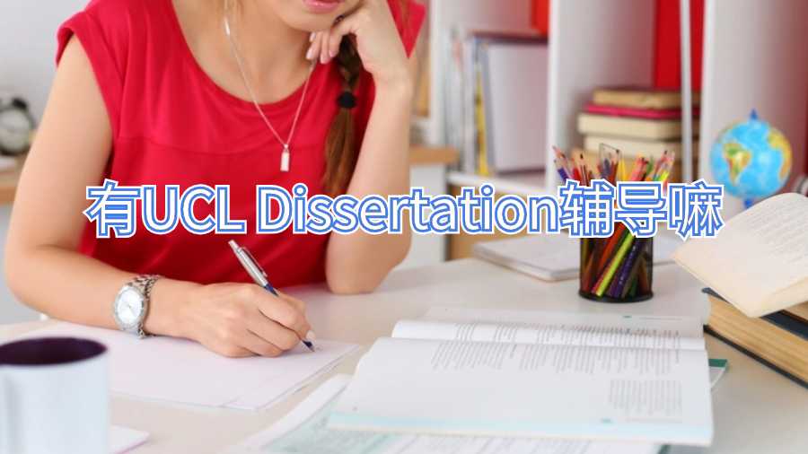 有UCL Dissertation辅导嘛