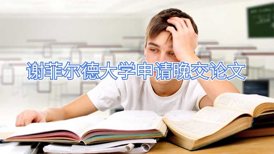 谢菲尔德大学申请晚交论文