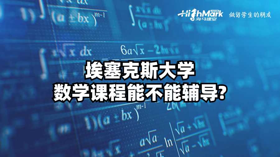 埃塞克斯大学数学课程能不能辅导?