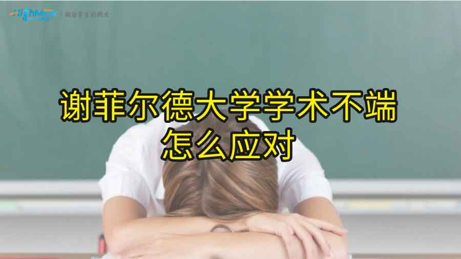 谢菲尔德大学学术不端怎么应对