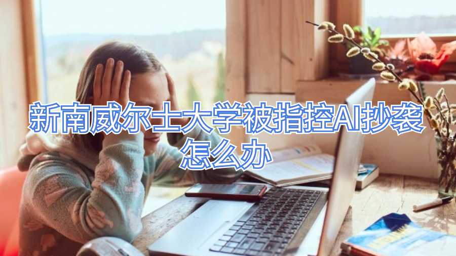 新南威尔士大学被指控AI抄袭怎么办