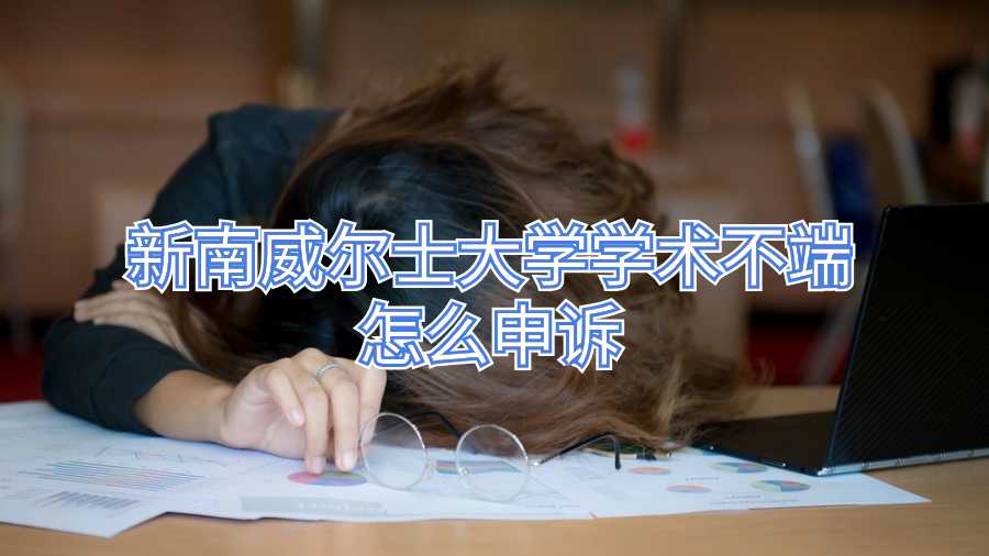 新南威尔士大学学术不端怎么申诉