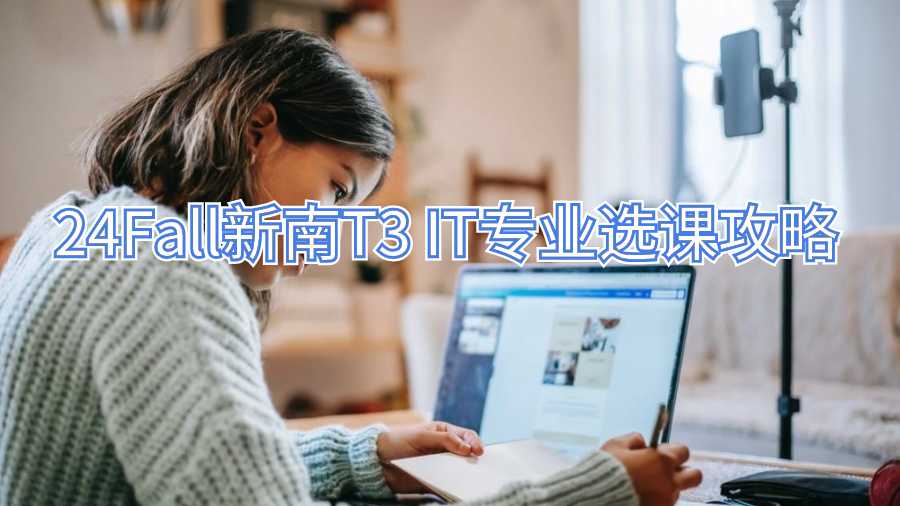 24Fall新南T3 IT专业选课攻略