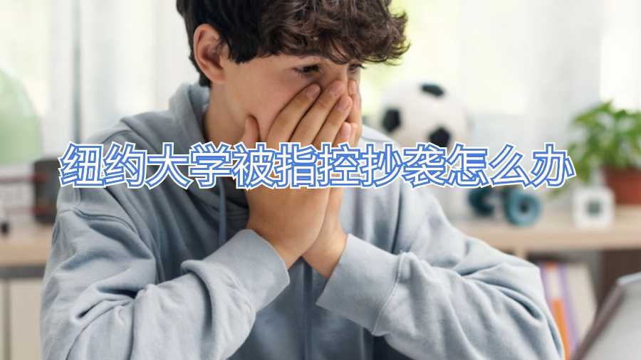 纽约大学被指控抄袭怎么办