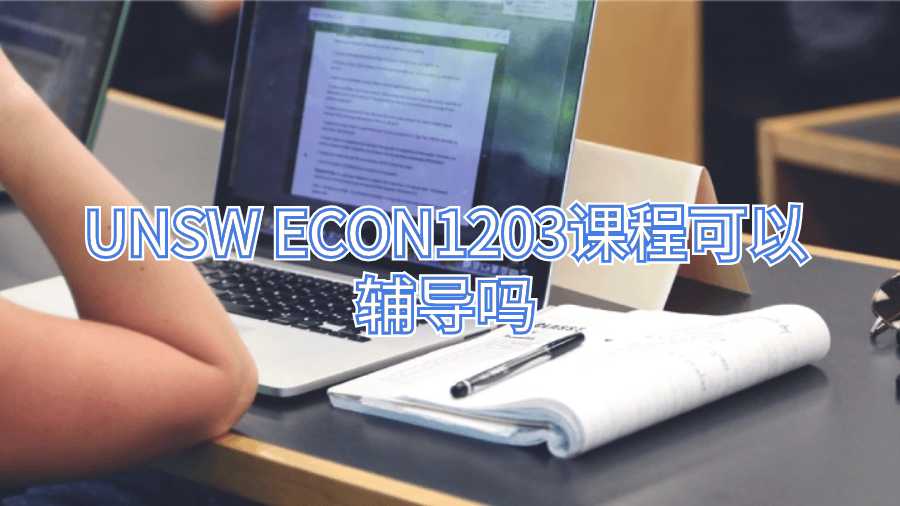 UNSW ECON1203课程可以辅导吗