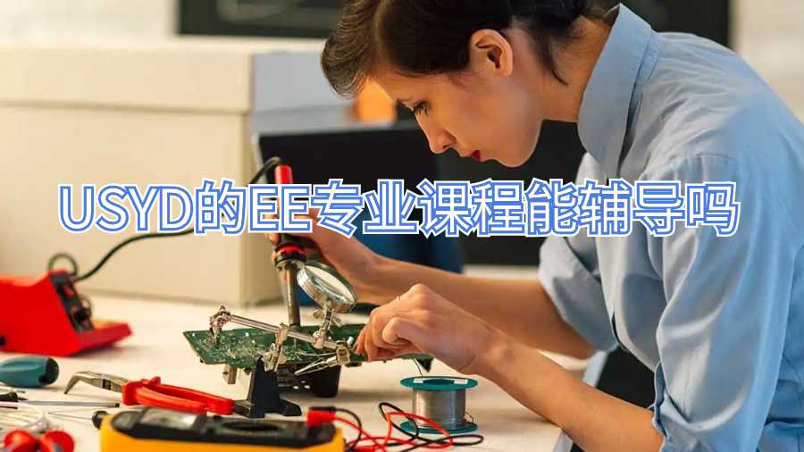 USYD的EE专业课程能辅导吗