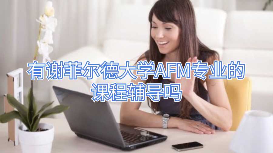 有谢菲尔德大学AFM专业的课程辅导吗