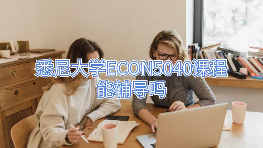 悉尼大学ECON5040课程能辅导吗