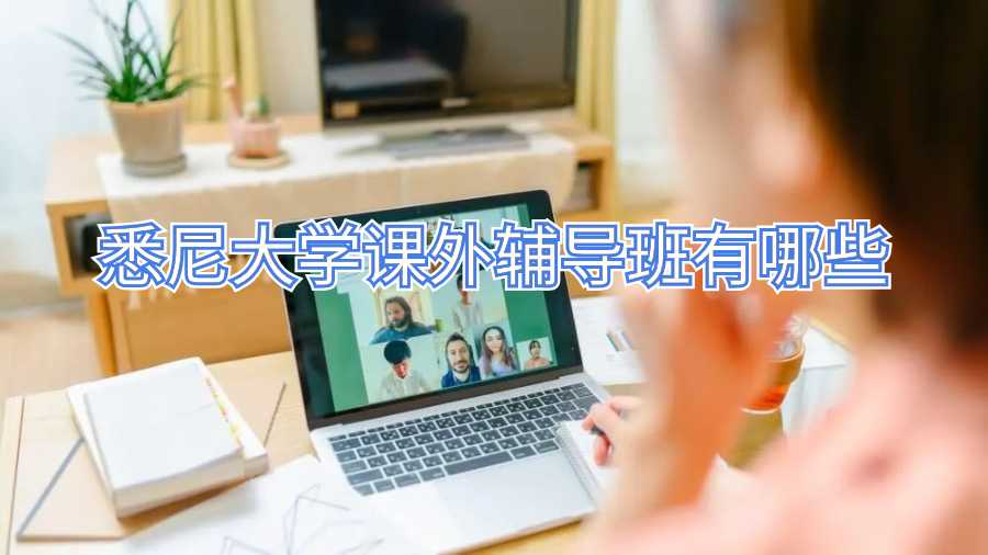 悉尼大学课外辅导班有哪些