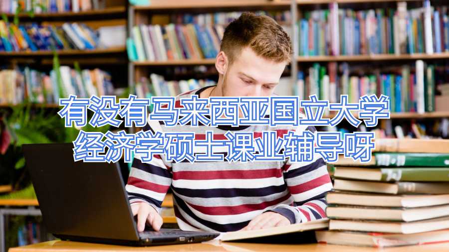 有没有马来西亚国立大学经济学硕士课业辅导呀