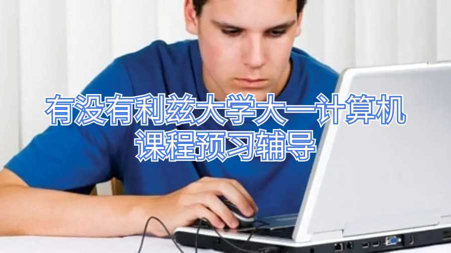 有没有利兹大学大一计算机课程预习辅导