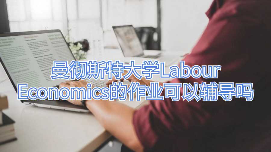 曼彻斯特大学Labour Economics的作业可以辅导吗