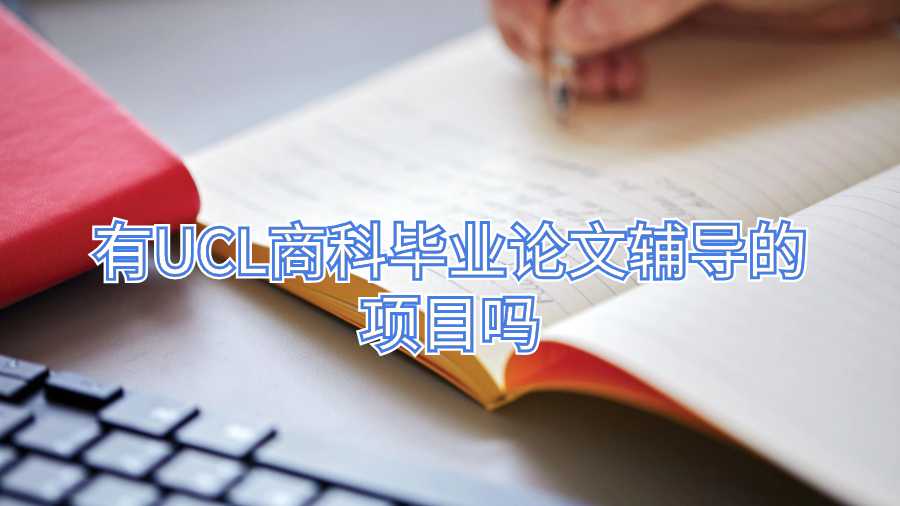 有UCL商科毕业论文辅导的项目吗