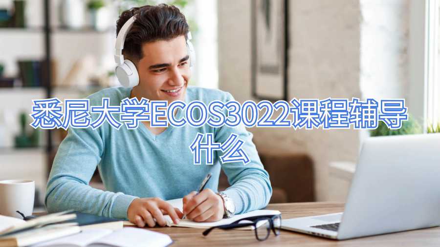 悉尼大学ECOS3022课程辅导什么