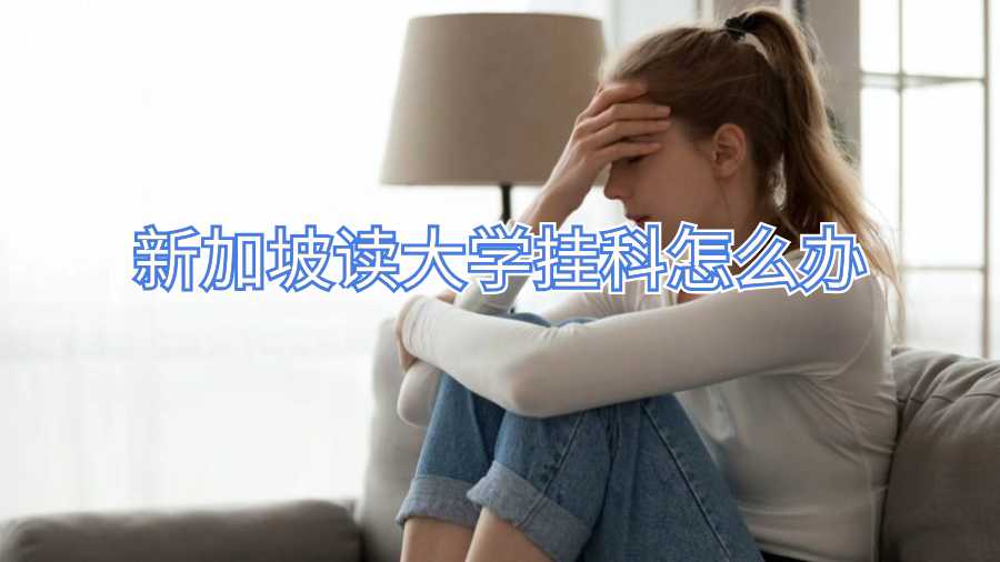 新加坡读大学挂科怎么办