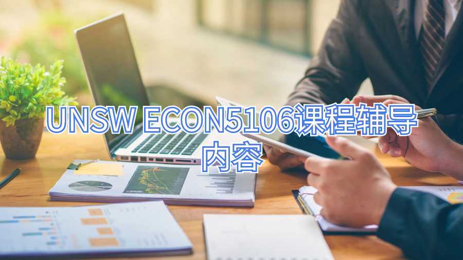 UNSW ECON5106课程辅导内容
