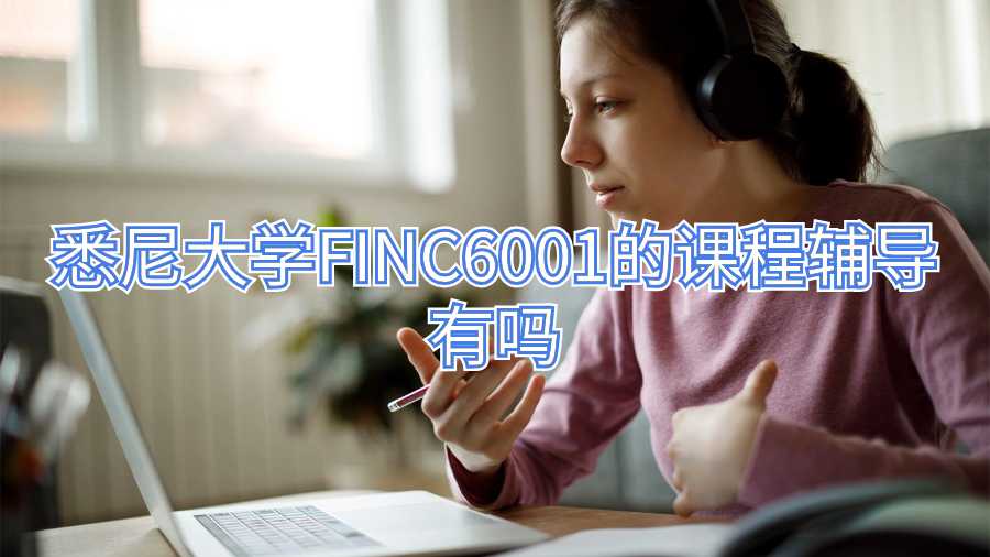 悉尼大学FINC6001的课程辅导有吗