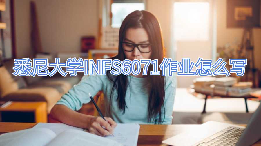 悉尼大学INFS6071作业怎么写