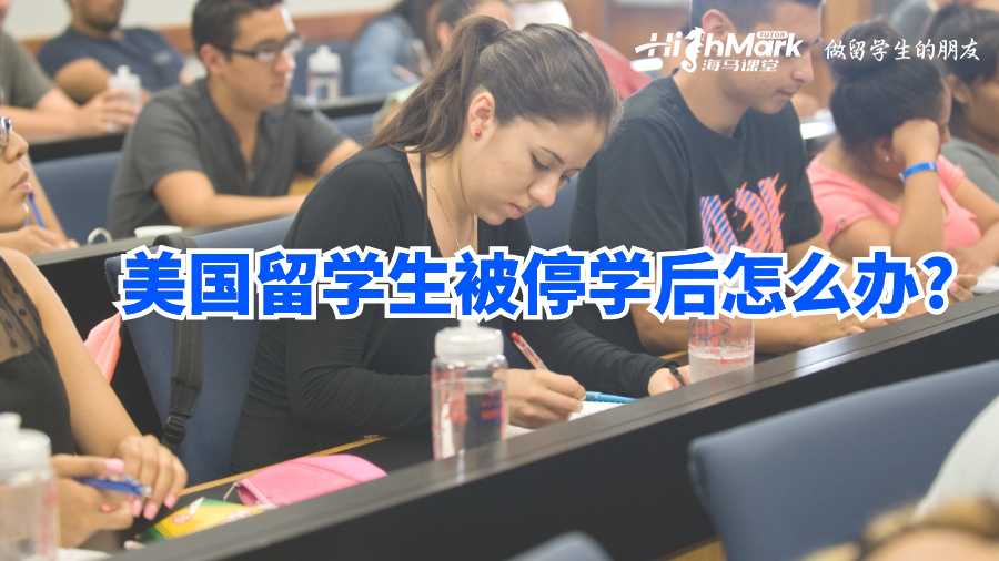 美国留学生被停学后怎么办?