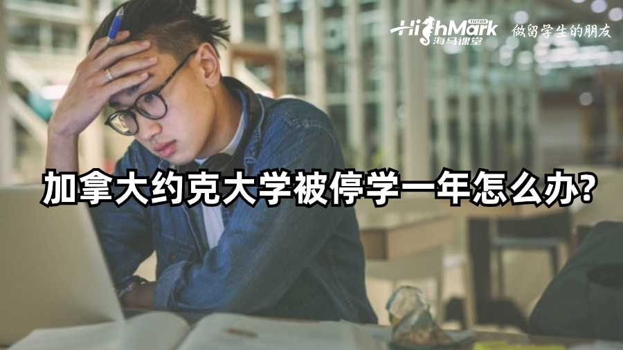 加拿大约克大学被停学一年怎么办?