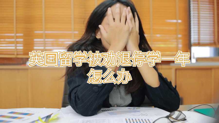 英国留学被劝退停学一年怎么办