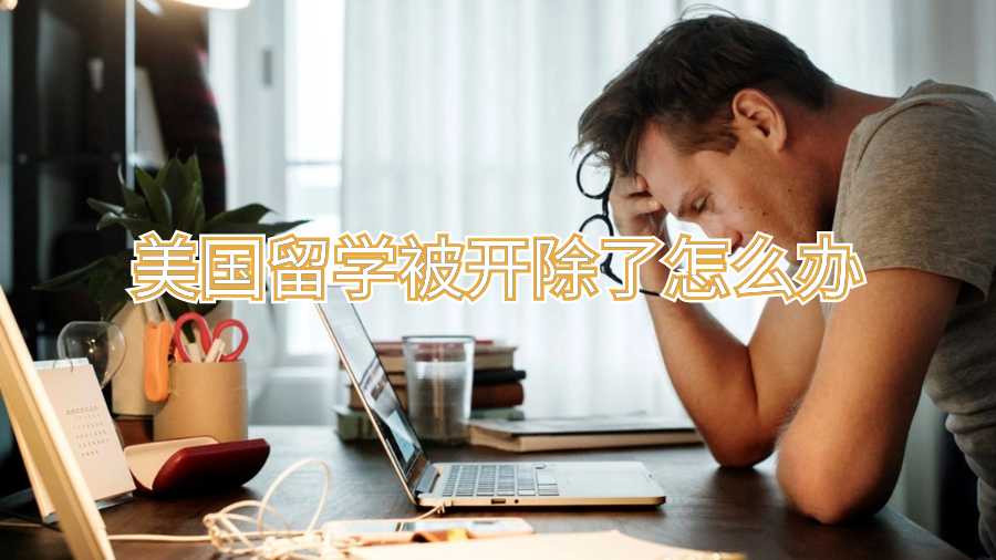 美国留学被开除了怎么办