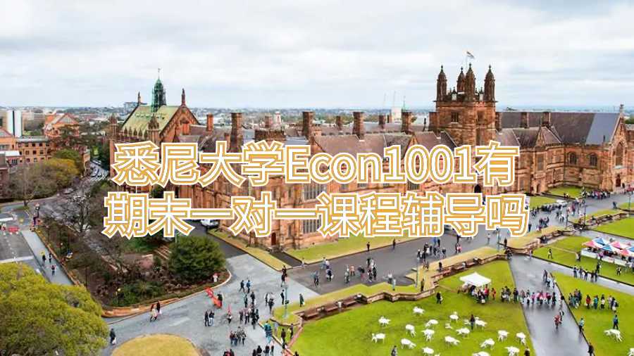 悉尼大学Econ1001有期末一对一课程辅导吗