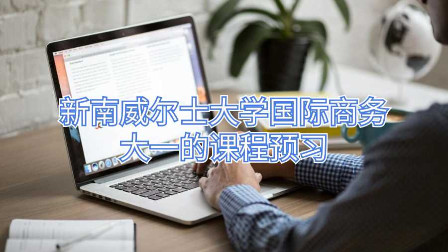 新南威尔士大学国际商务大一的课程预习