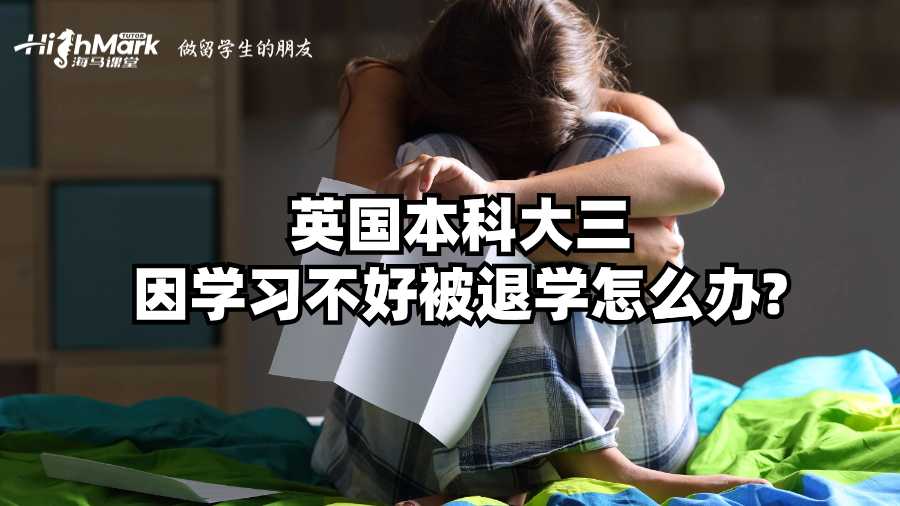英国本科大三因学习不好被退学怎么办?