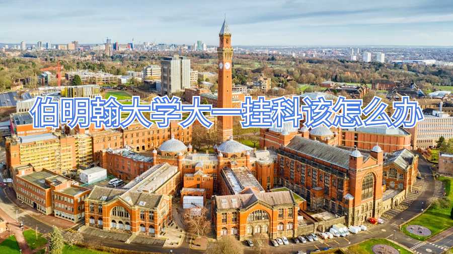 伯明翰大学大一挂科该怎么办
