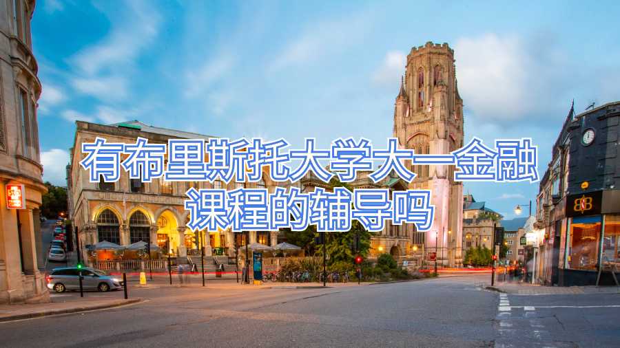 有布里斯托大学大一金融课程的辅导吗