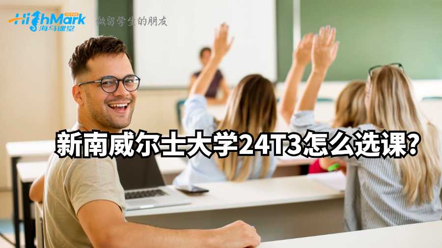 新南威尔士大学24T3怎么选课?